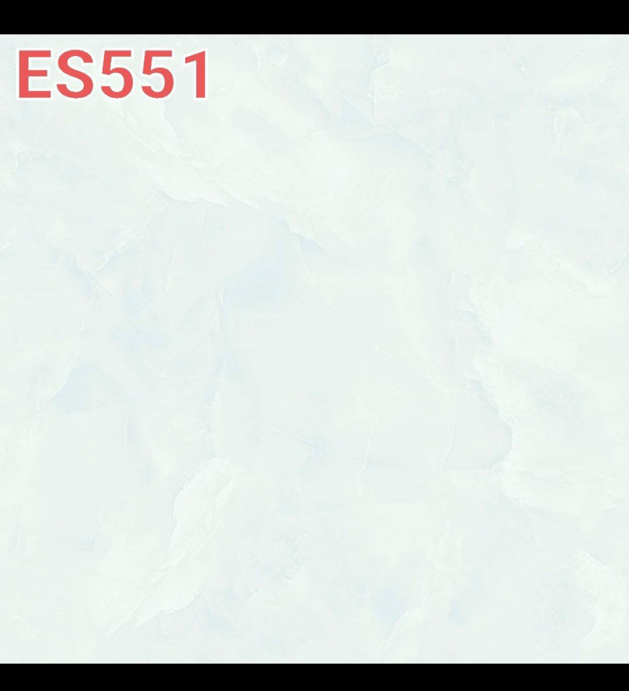 ES 551