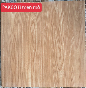 Pak P 6011 M